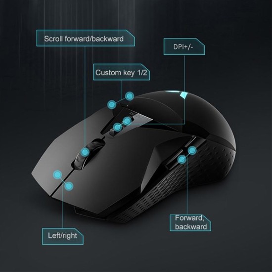 Rapoo VT950C Gaming Wireless & Wired Optical Mouse