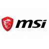 MSI