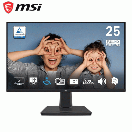 MSI PRO MP251 23.8" FULL HD, 100Hz, Built in Speaker, Monitor